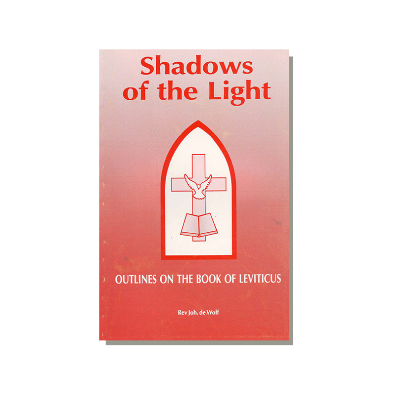 Shadows of the Light (deWolf) image 0