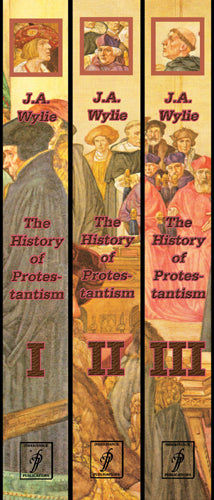 History of Protestantism Set of 3 (Wylie) image 0