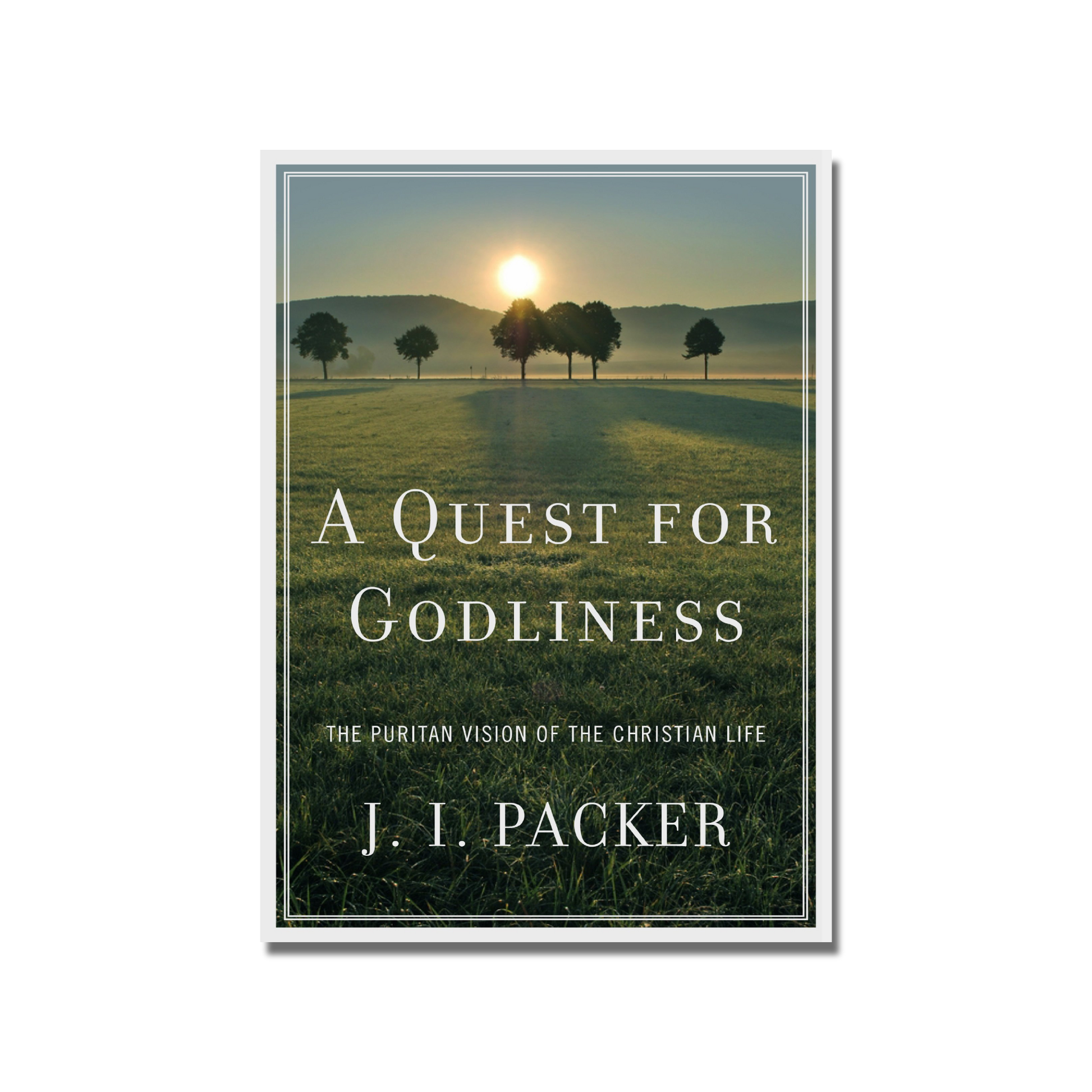 A Quest For Godliness  (Packer) image 0