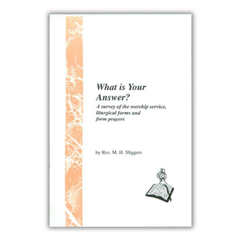 What is Your Answer (Sliggers) image 0