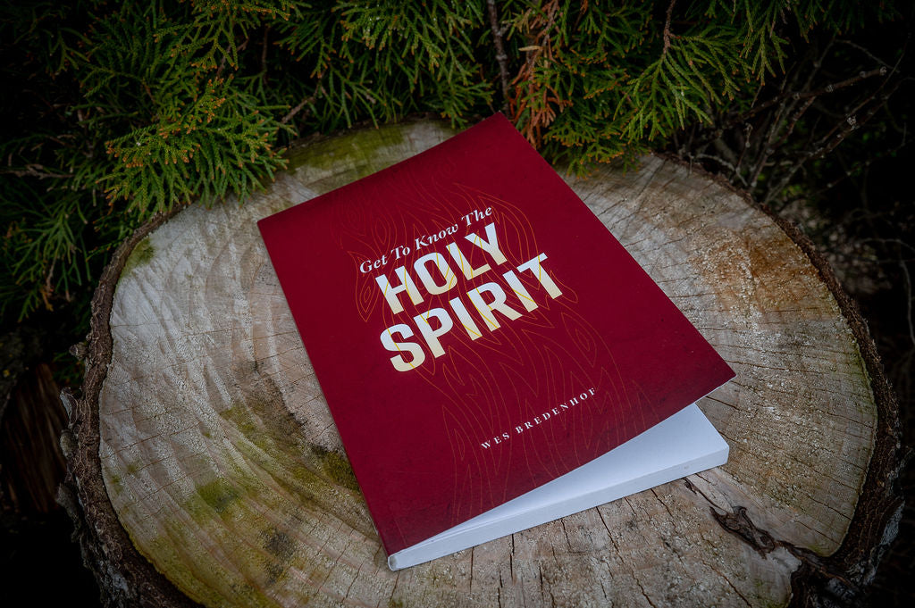 Get To Know The Holy Spirit (Bredenhof) image 5