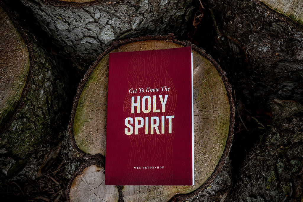 Get To Know The Holy Spirit (Bredenhof) image 0