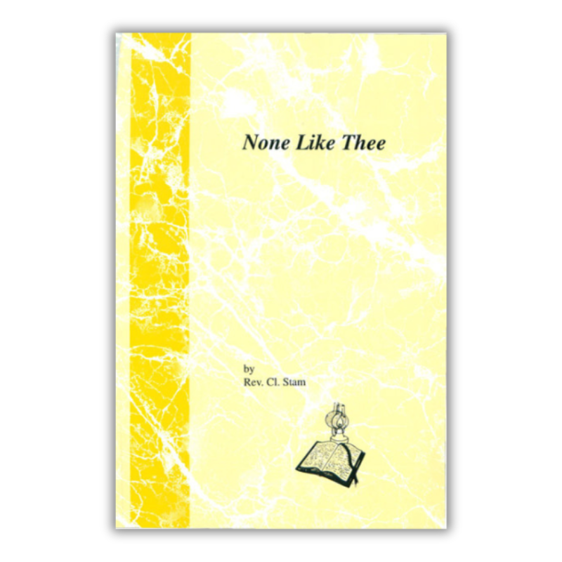 None Like Thee Meditations on Micah (Stam) image 0