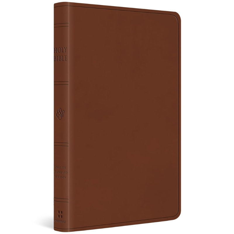 ESV Large Print Value Thinline Bible (TruTone, Camel) image 0