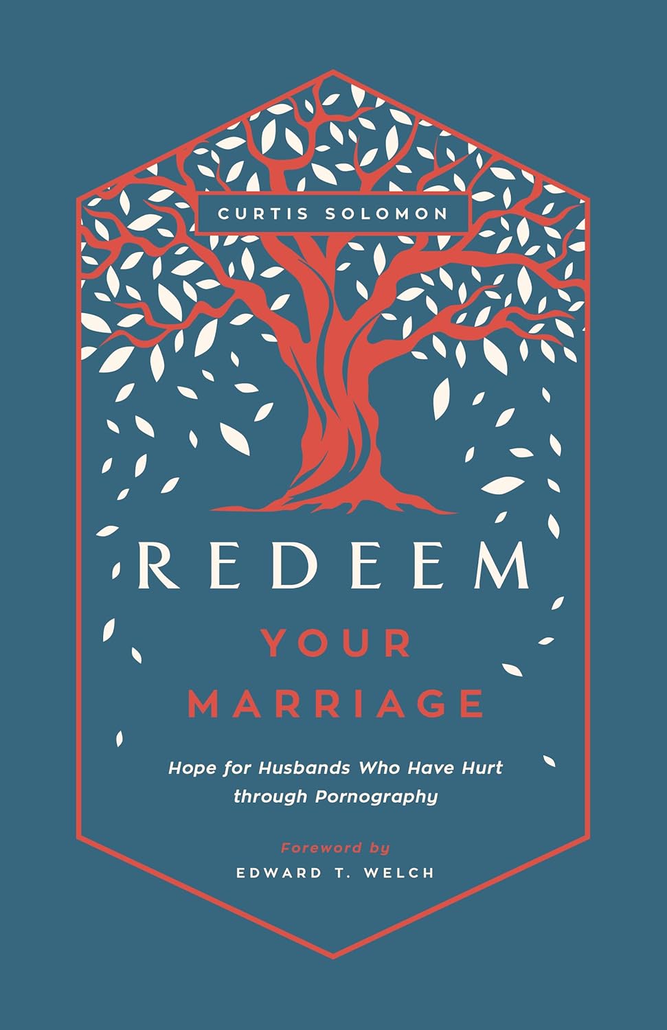 Redeem Your Marriage: Hope for Husbands Who Have Hurt through Pornography(Solomo image 0