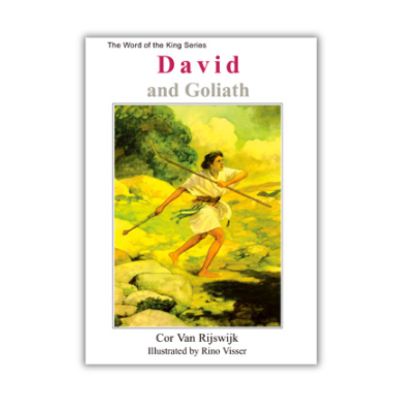 David and Goliath  [Word of the King Series]  (Van Rijswijk) image 0