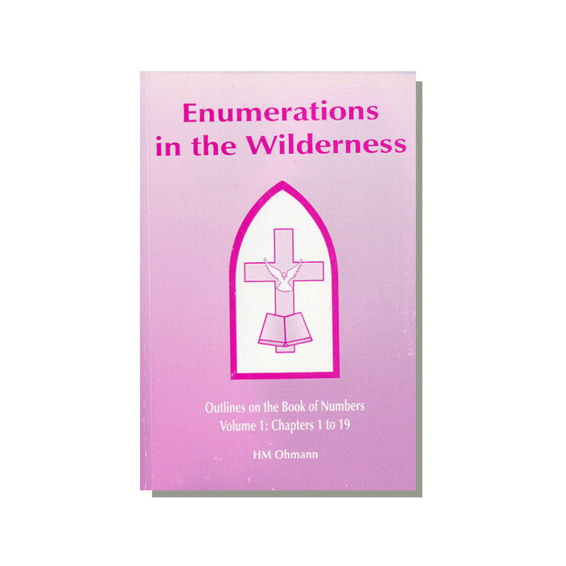 Enumerations in the Wilderness - Volume 1 (Ohmann) image 0
