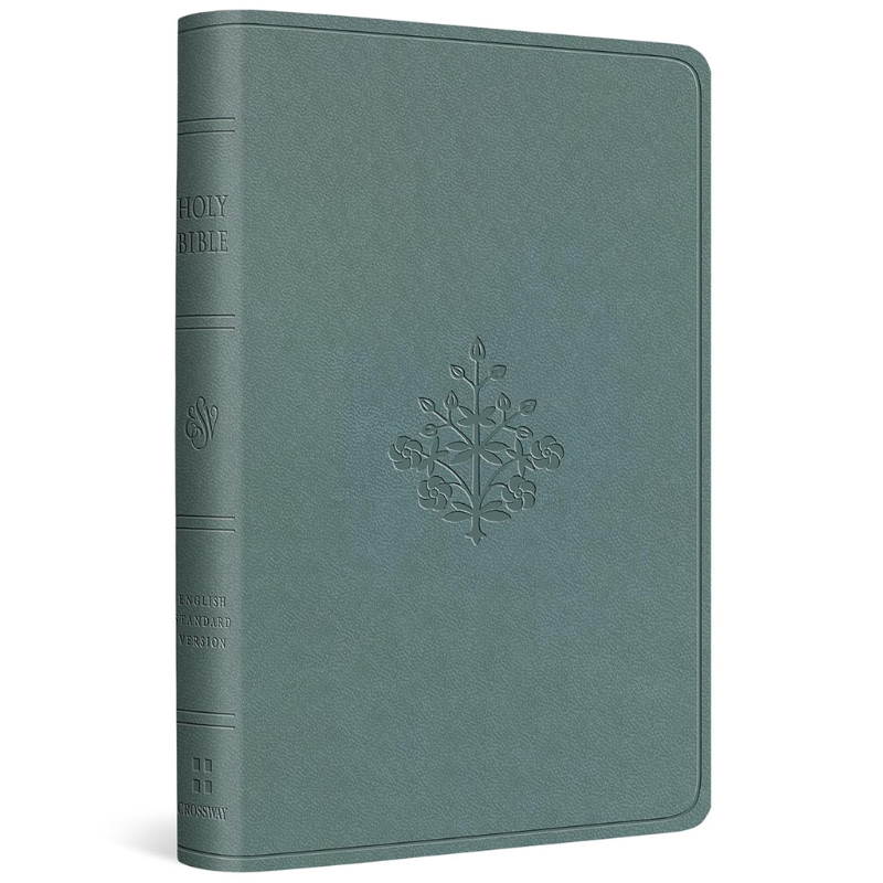 ESV Value Compact Bible (Trutone, Paris Sky, Branch Design) image 0