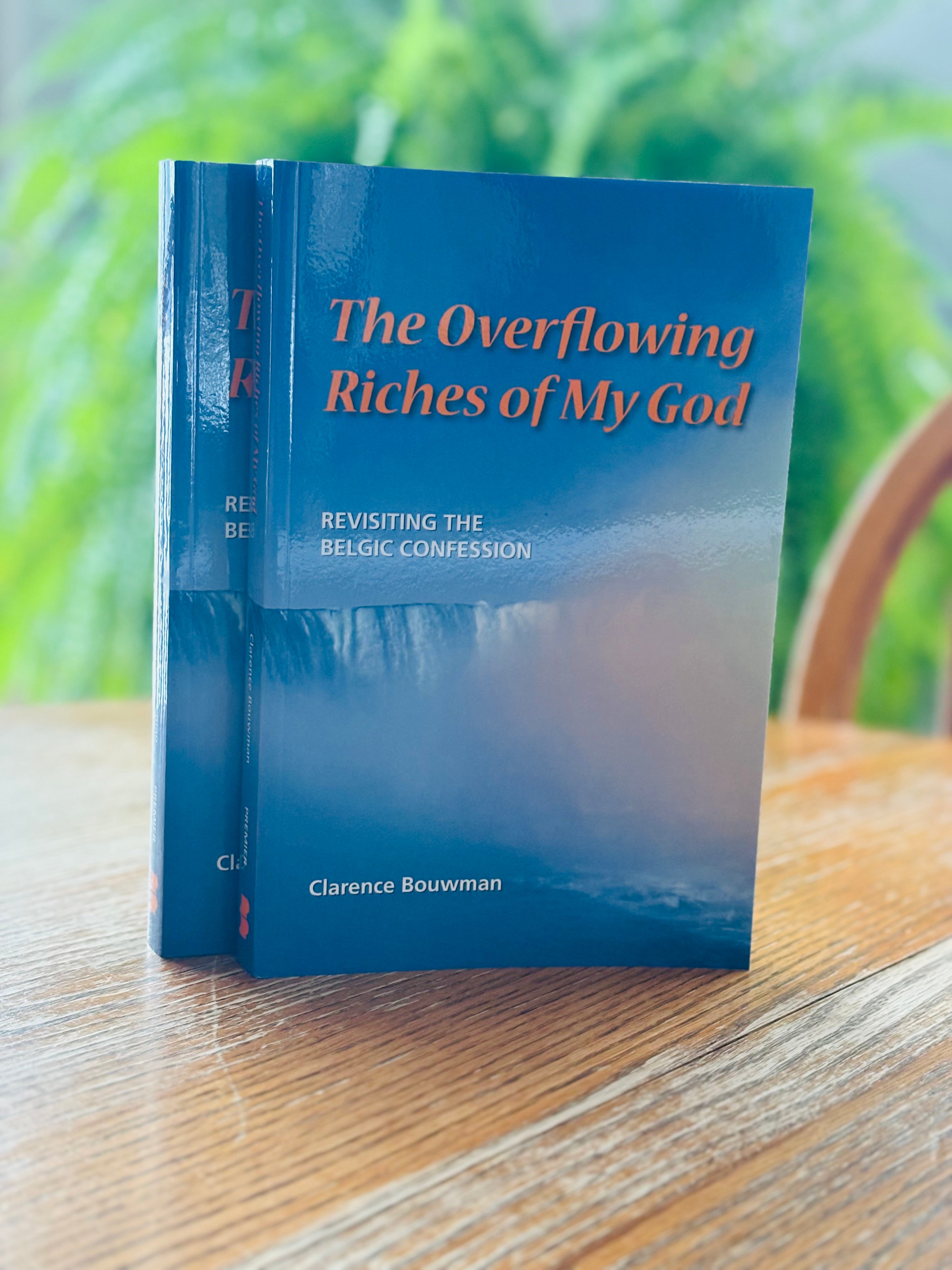The Overflowing Riches of God  (Bouwman) image 0