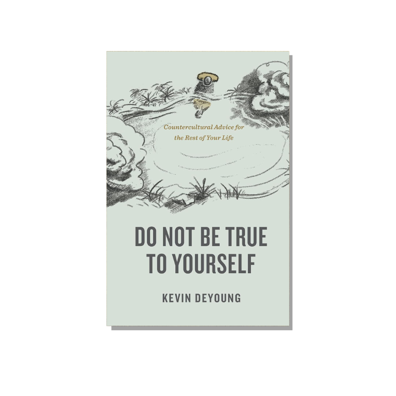 Do Not Be True To Yourself  (DeYoung) image 0