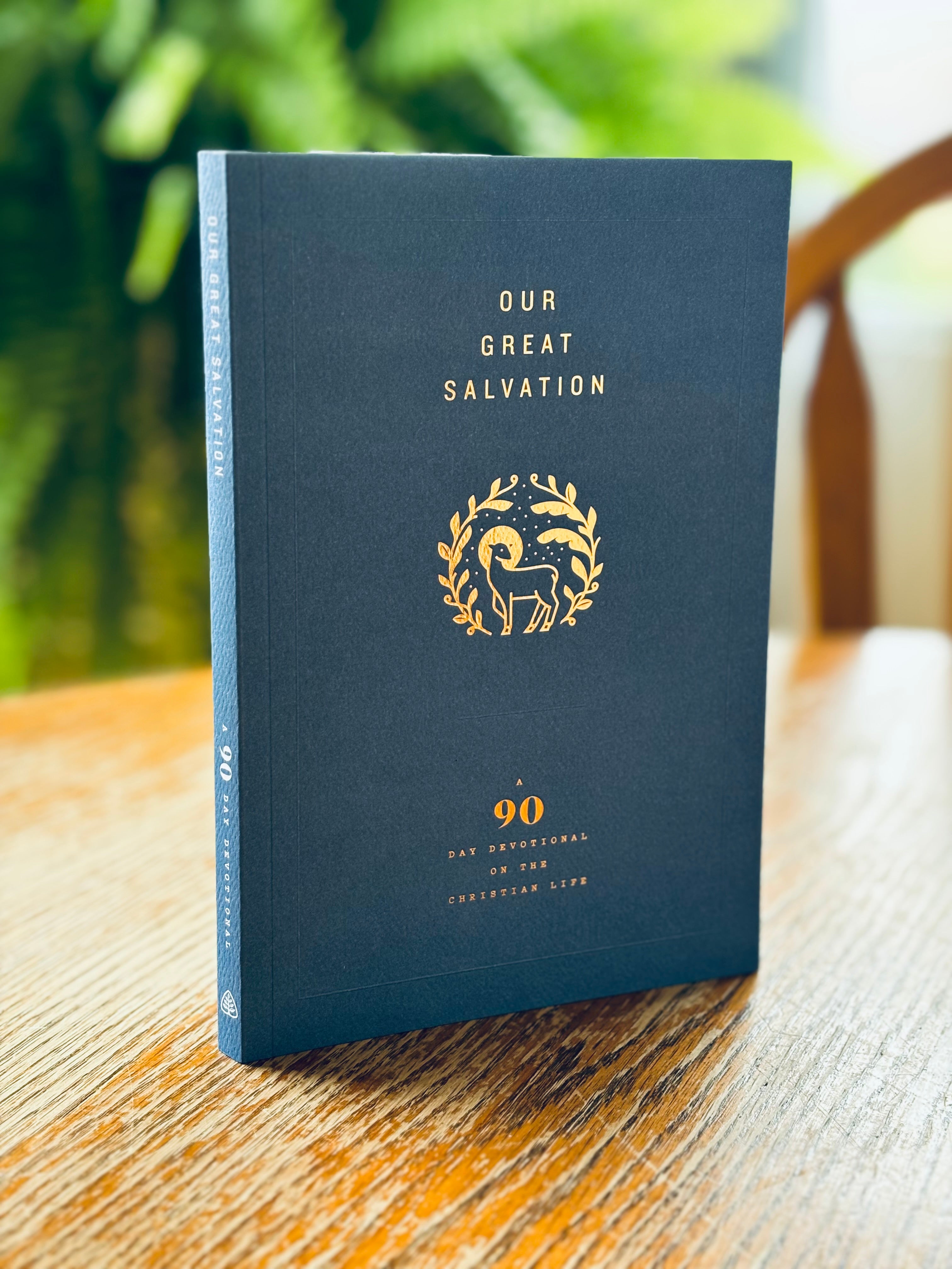 Our Great Salvation: A 90-Day Devotional on the Christian Life image 0