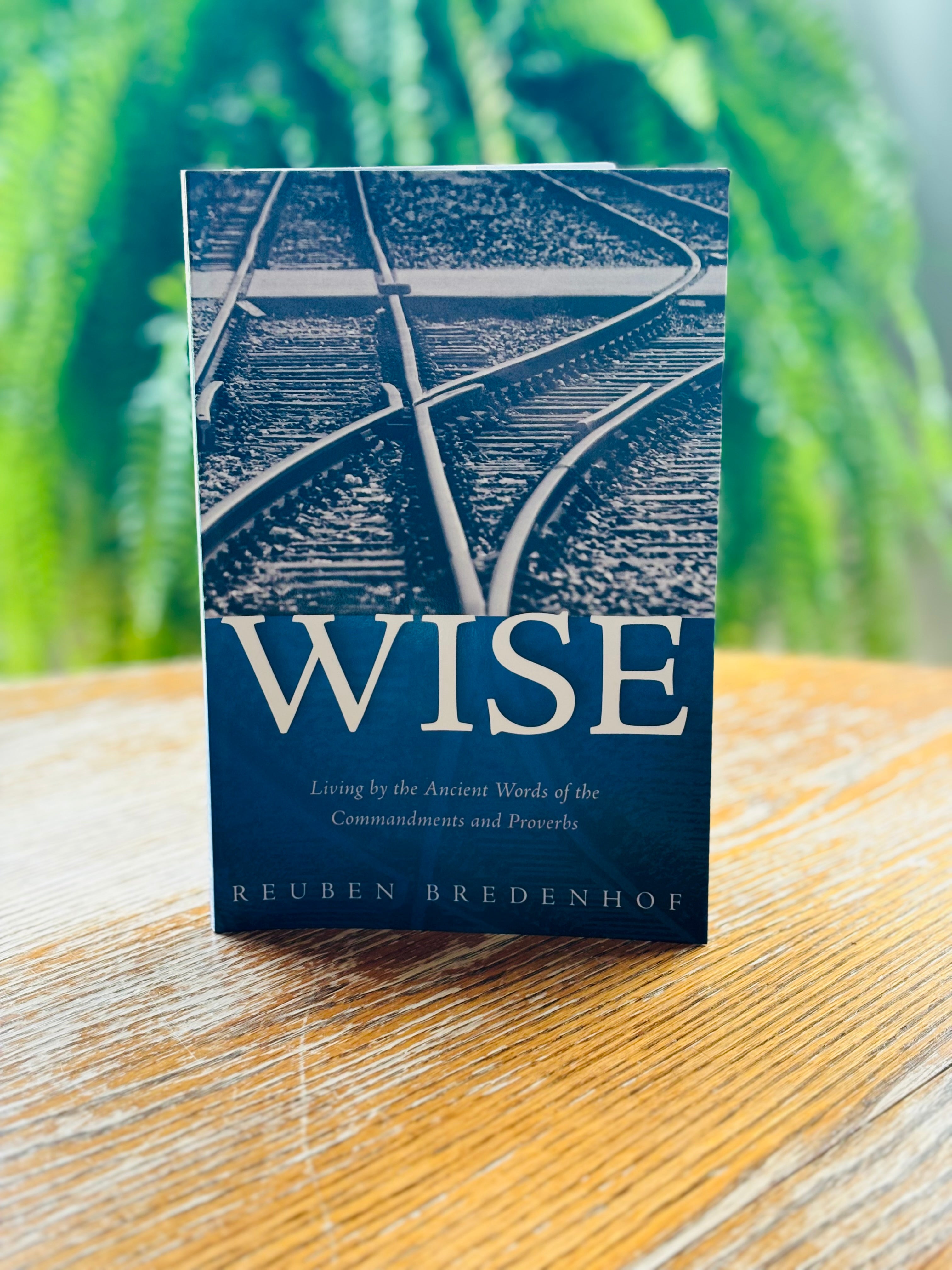 Wise: Living by the Ancient Words of the Commandments and Proverbs  (Bredenhof) image 0