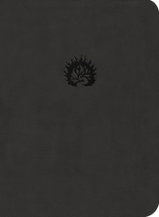 ESV Reformation Study Bible - Charcoal Leatherlike image 0