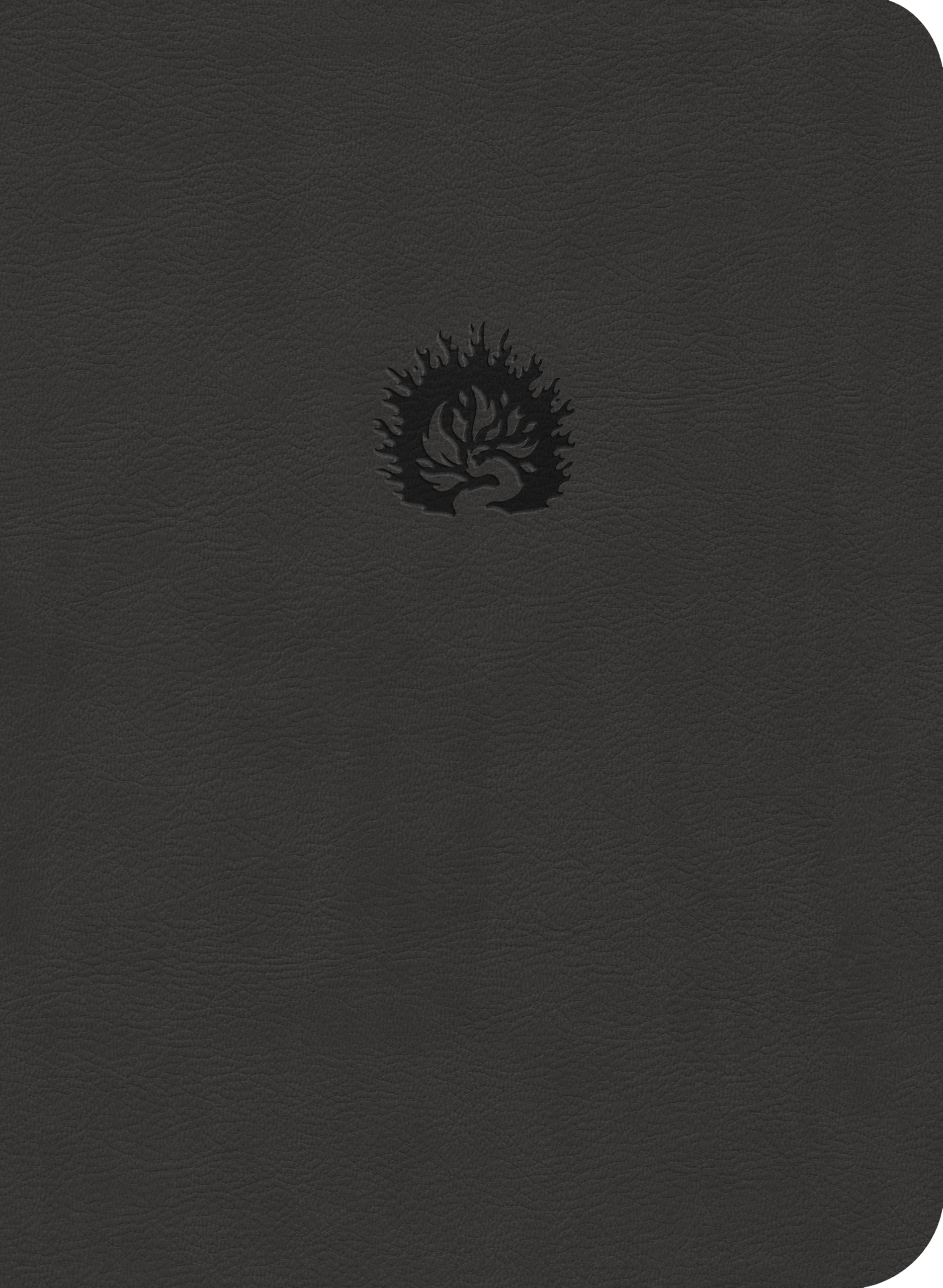 ESV Reformation Study Bible - Charcoal Leatherlike image 0