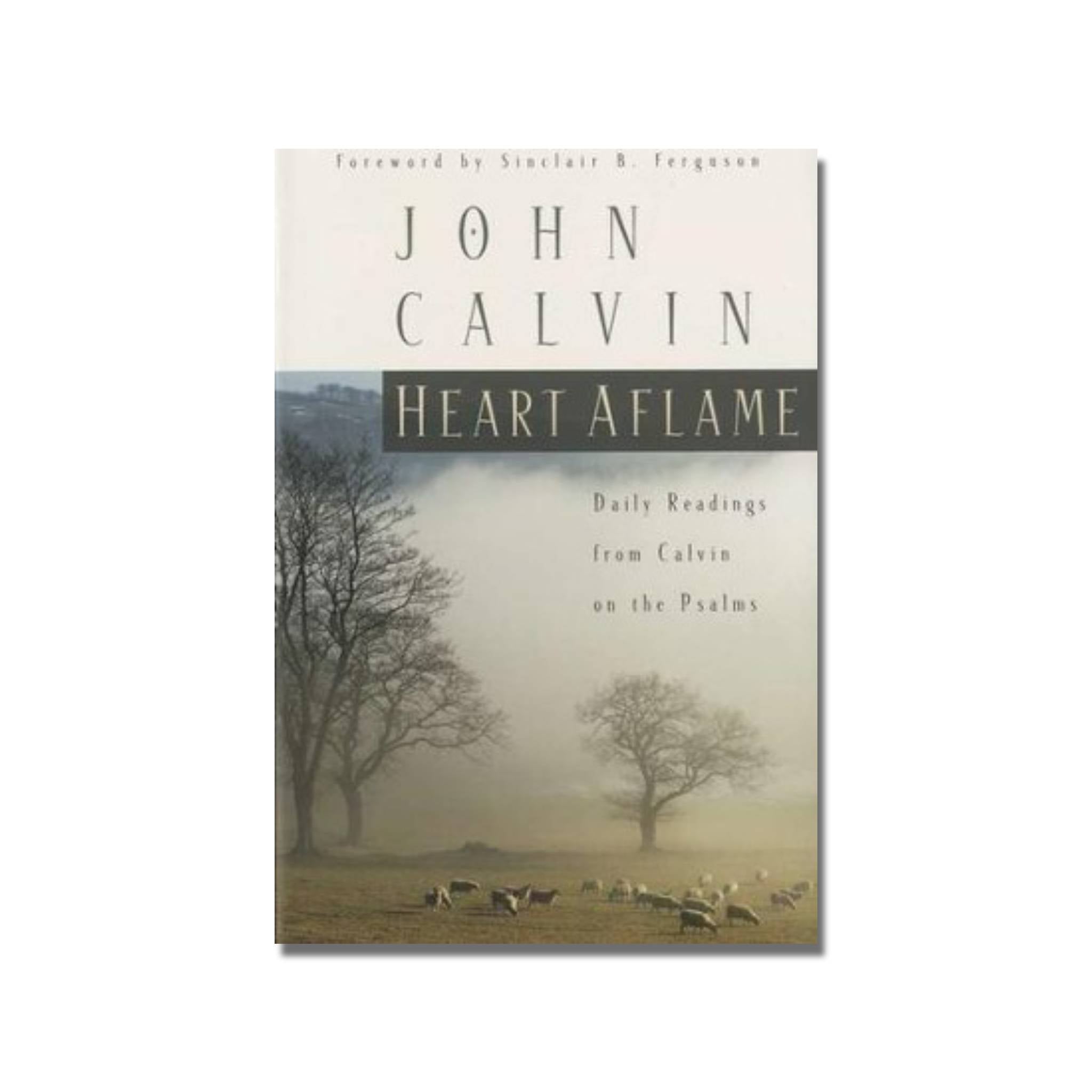 Heart Aflame  (Calvin) image 0