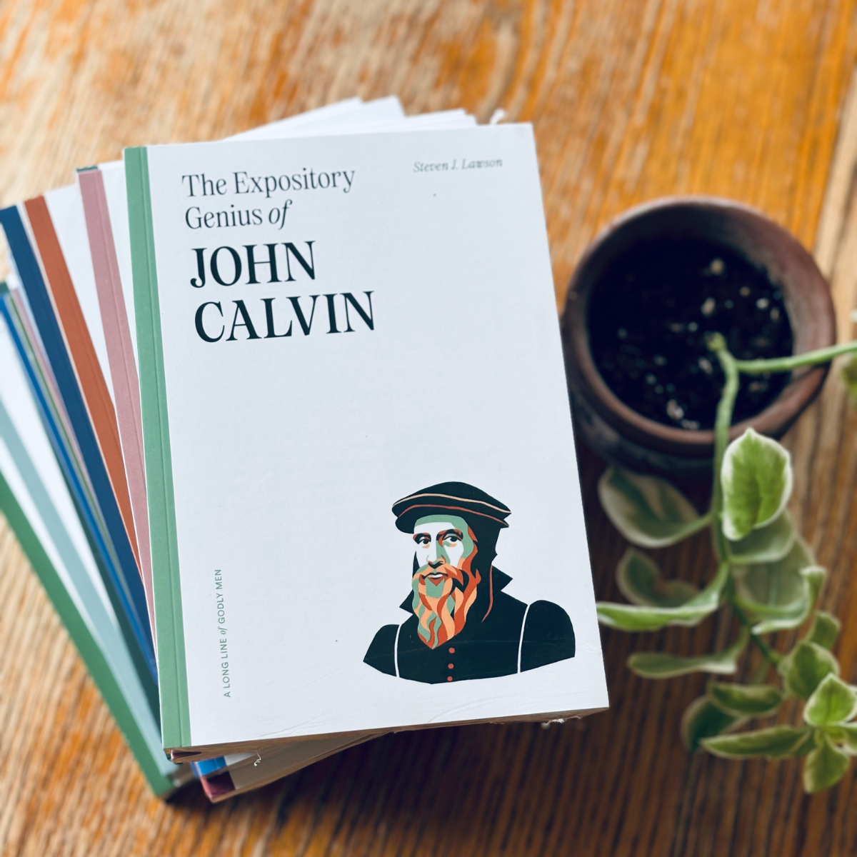 A Long Line of Godly Men Book Collection image 1