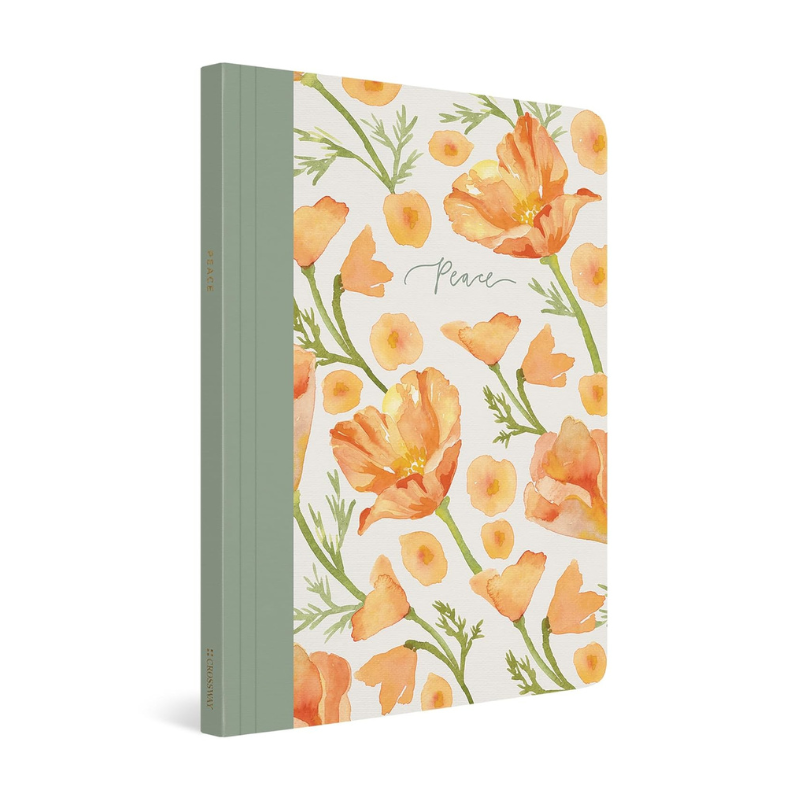 ESV Prayer Journal: 30 Days on Peace  (Allen) image 1