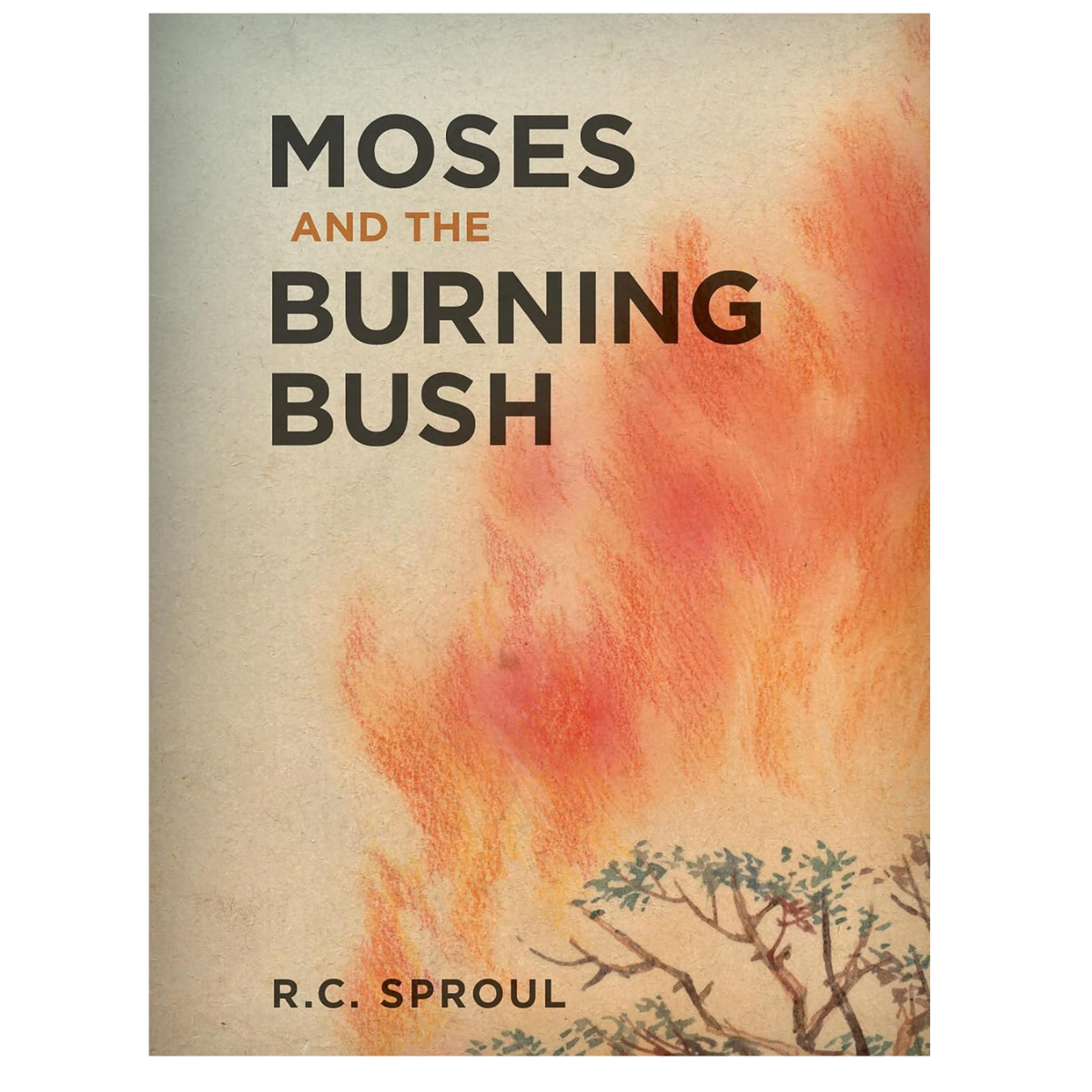 Moses and the Burning Bush  (Sproul) image 2