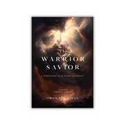 The Warrior Saviour (Strachen) image 0