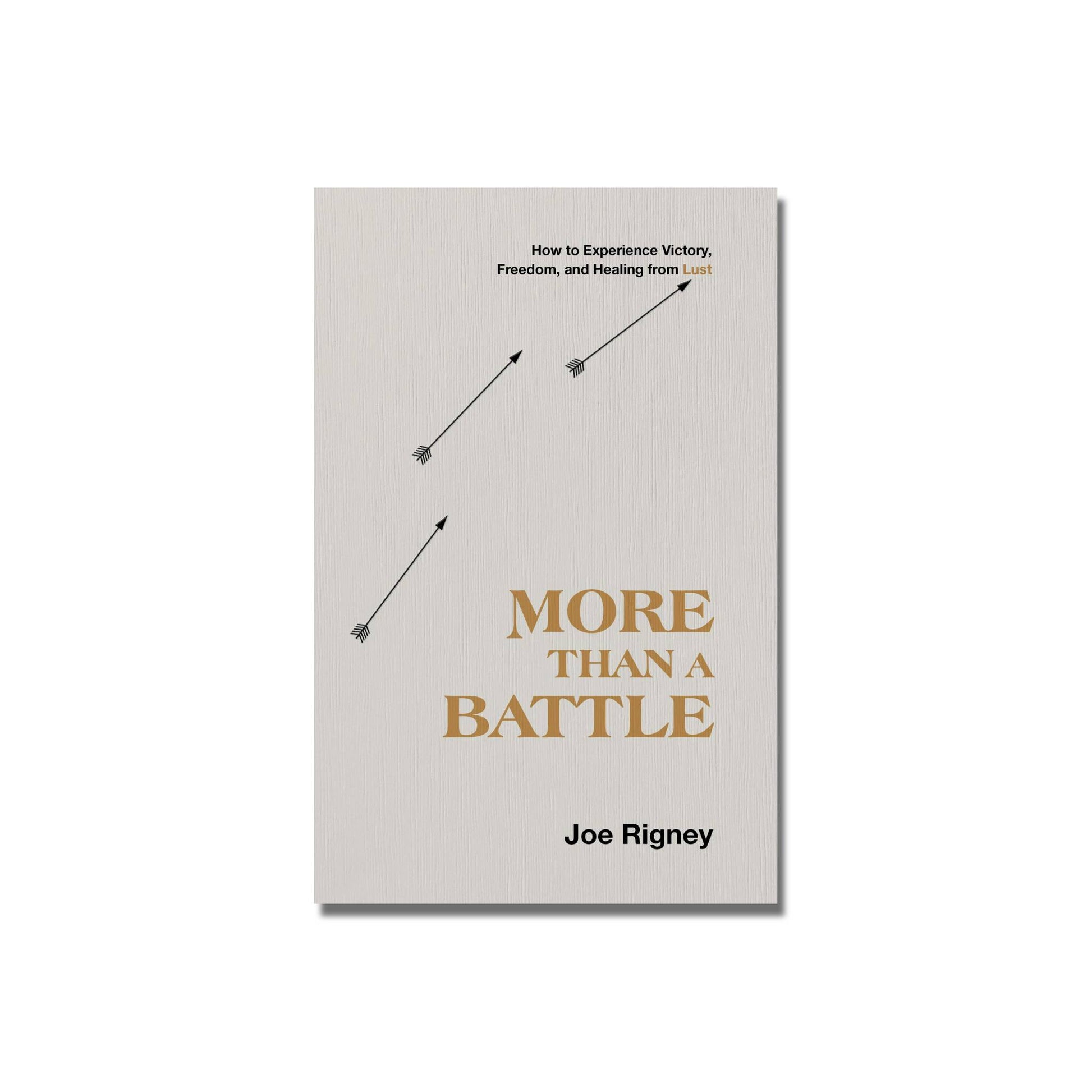 More Than A Battle  (Rigney) image 0