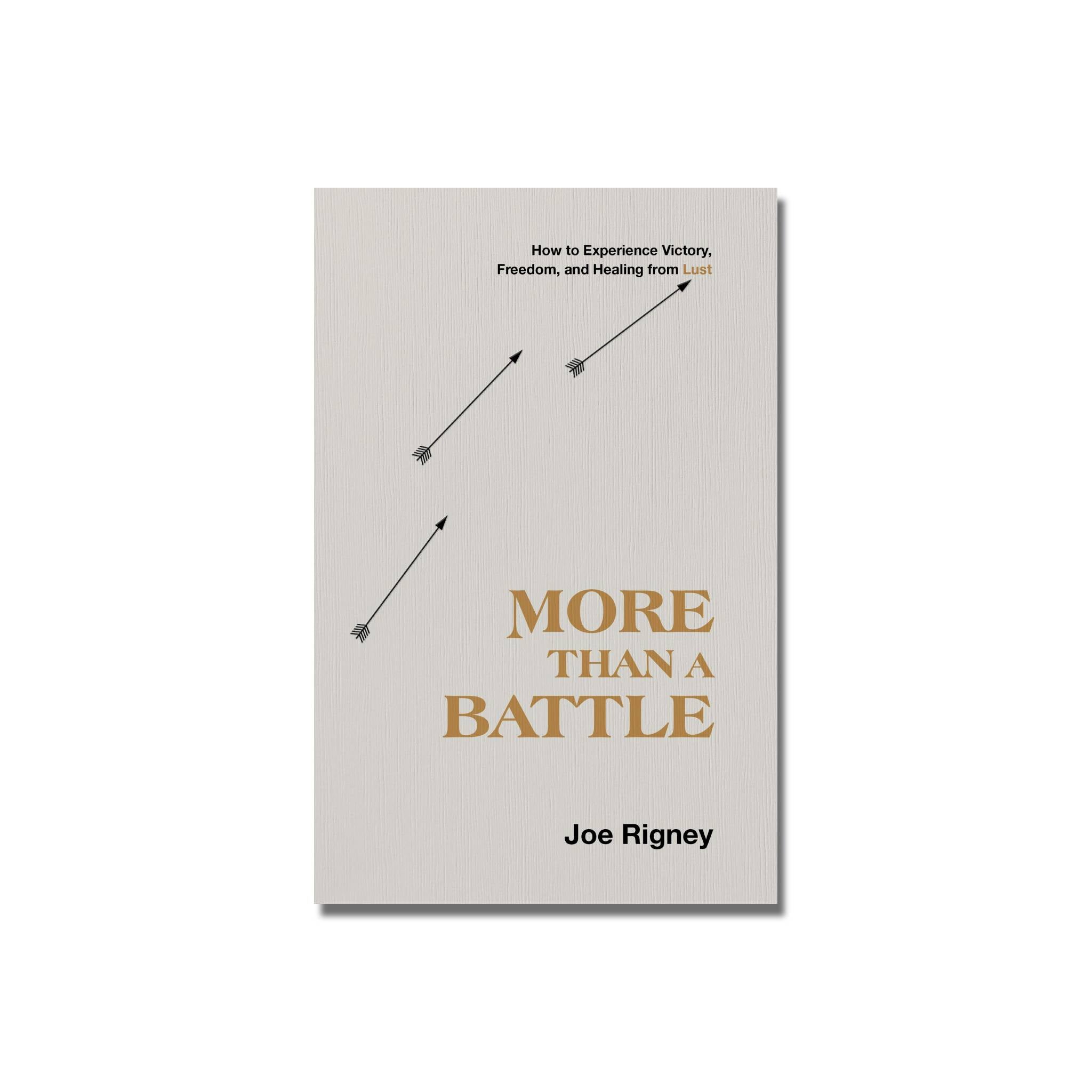 More Than A Battle  (Rigney) image 0