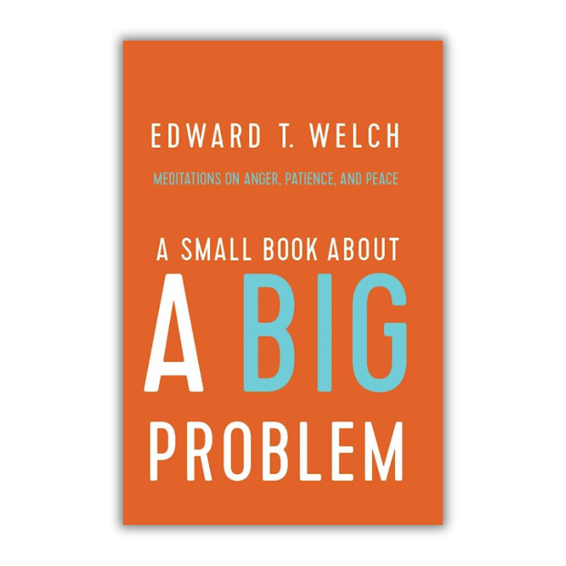 A Small Book about a Big Problem: Meditations on Anger, Patience, Peace(Welch) image 0