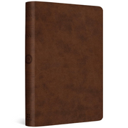 ESV Value Compact Bible- Brown Trutone image 0