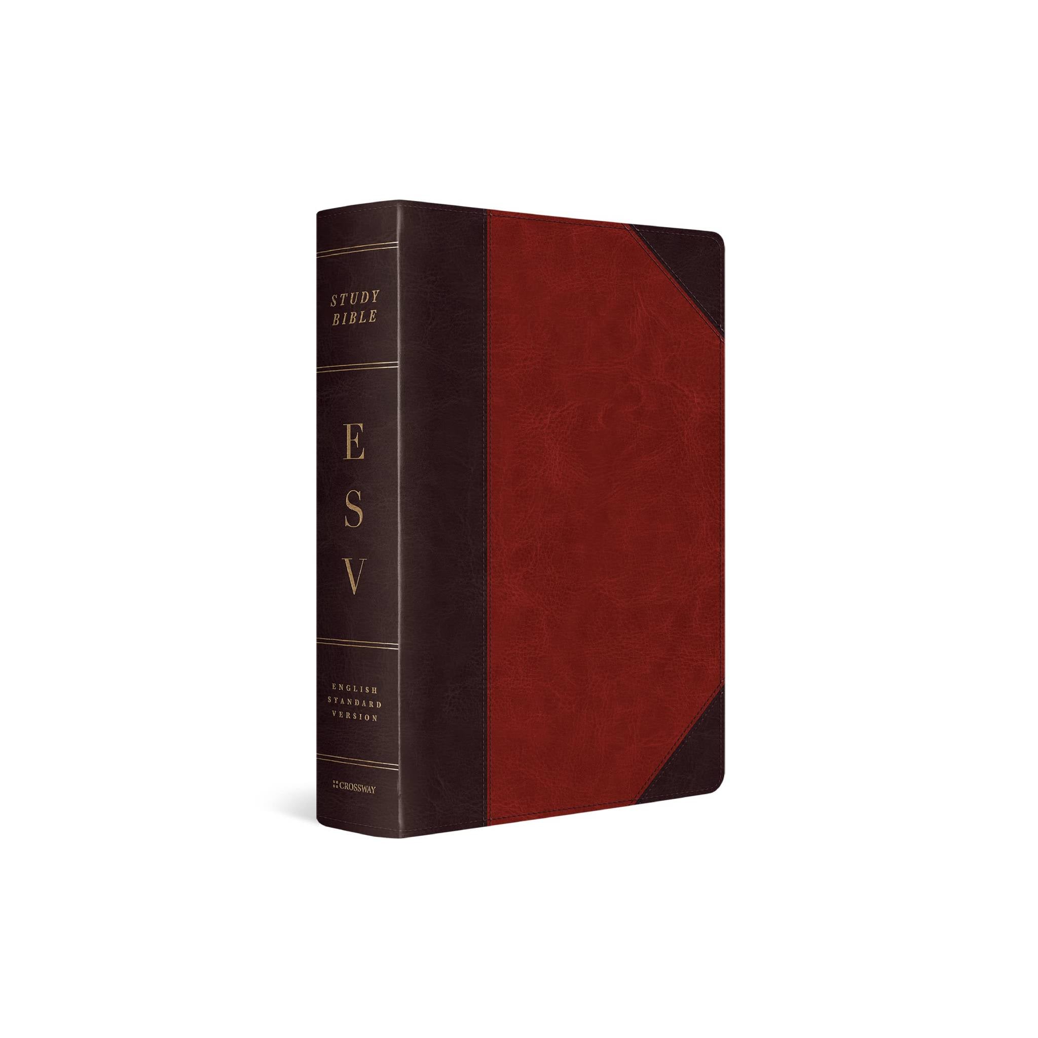ESV Study Bible, Large Print, Portfolio Design image 0