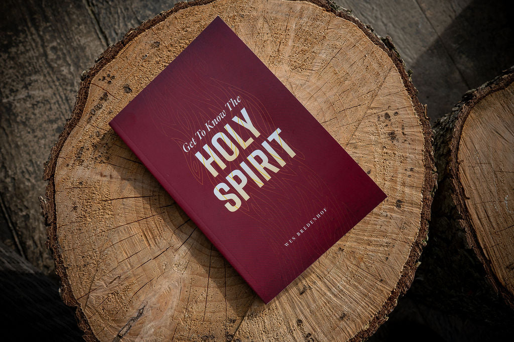 Get To Know The Holy Spirit (Bredenhof) image 2