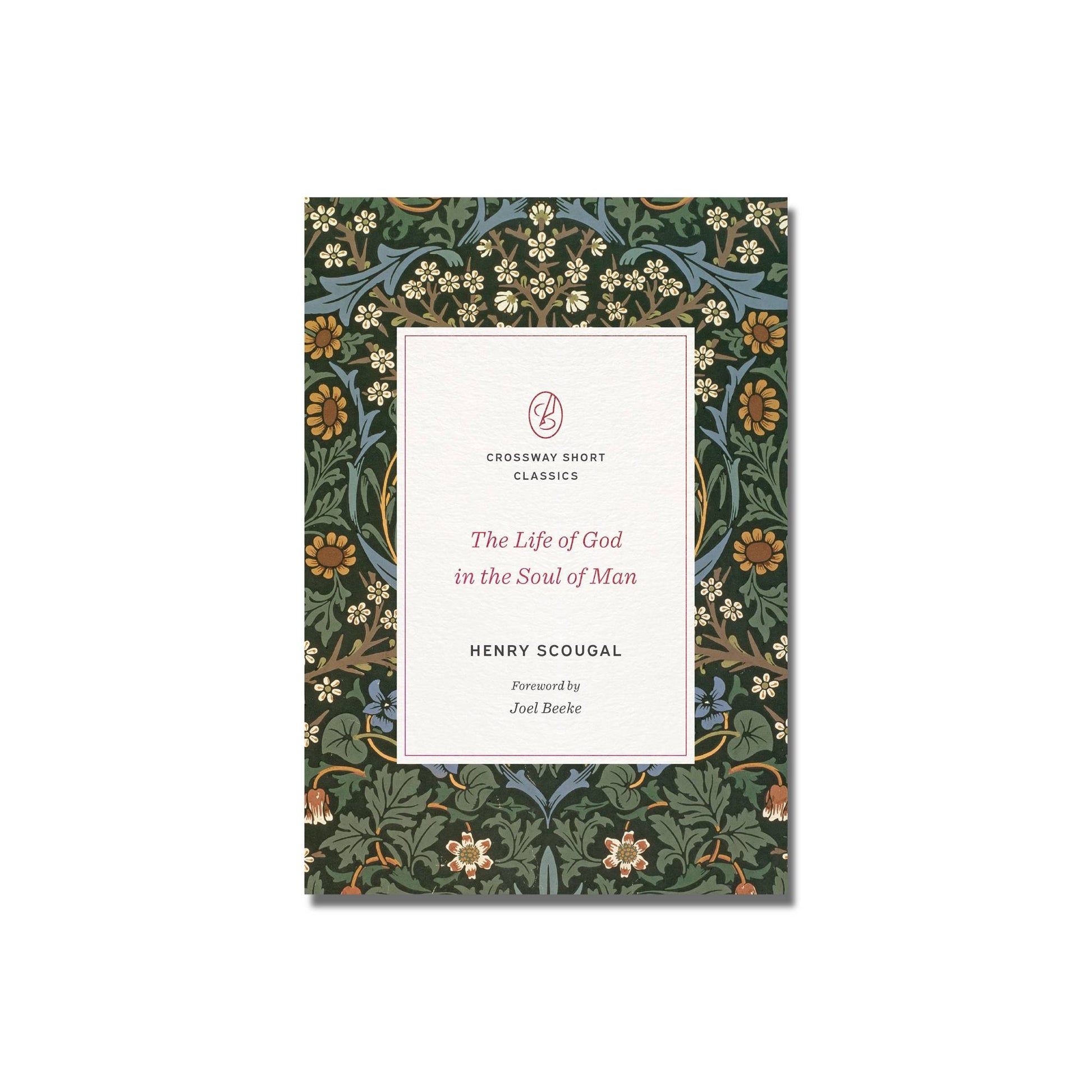 The Life of God in the Soul of Man  (Scougal) image 0