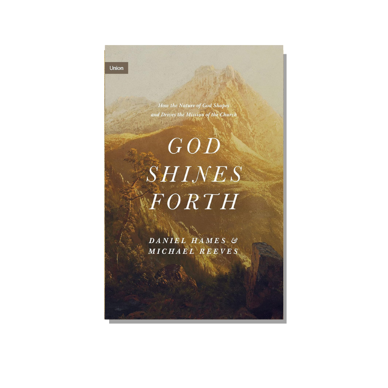 God Shines Forth  (Reeves) image 0