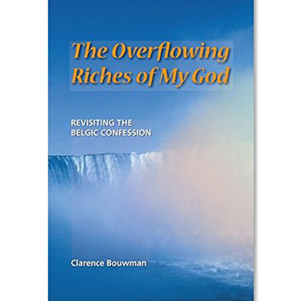 The Overflowing Riches of God  (Bouwman) image 2