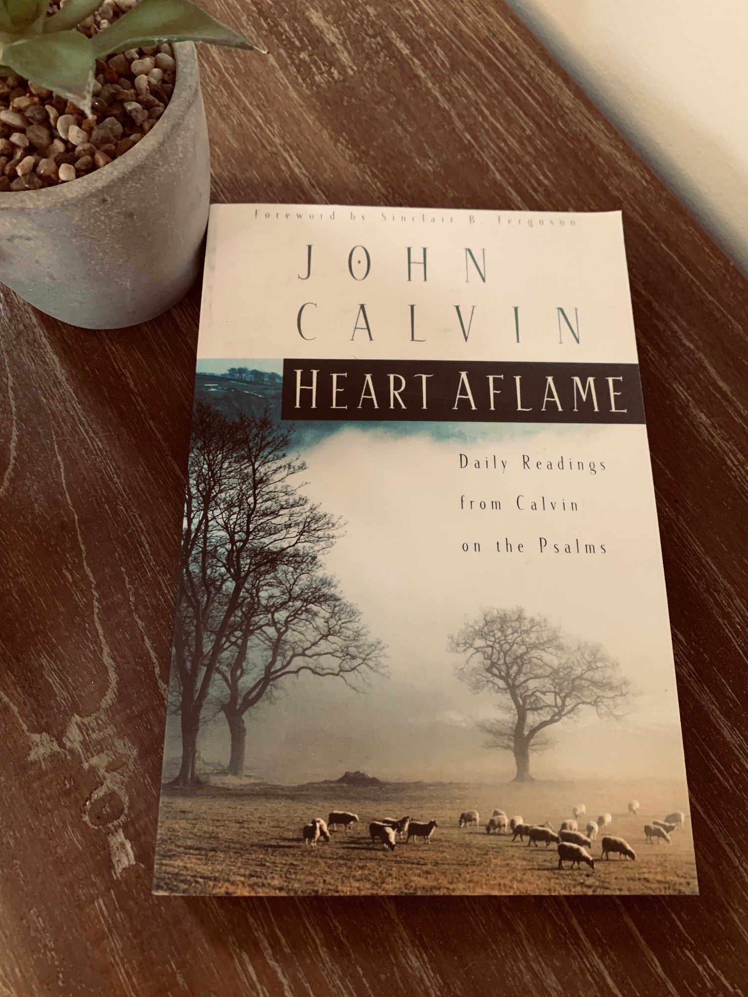 Heart Aflame  (Calvin) image 1