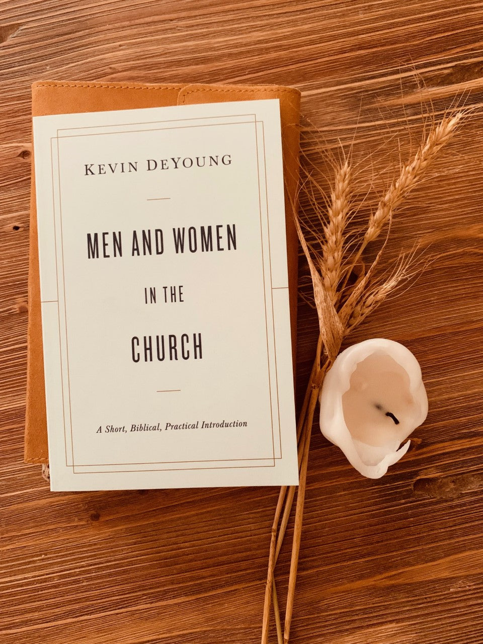Men and Women in the Church  (DeYoung) image 1