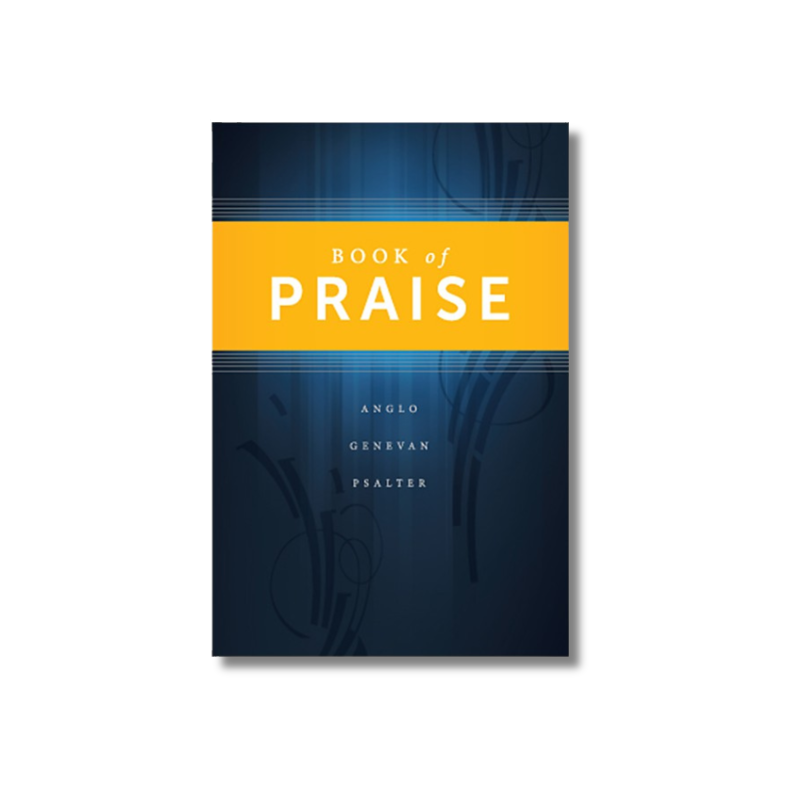 Book of Praise 2014 Standard Edition - Blue image 0