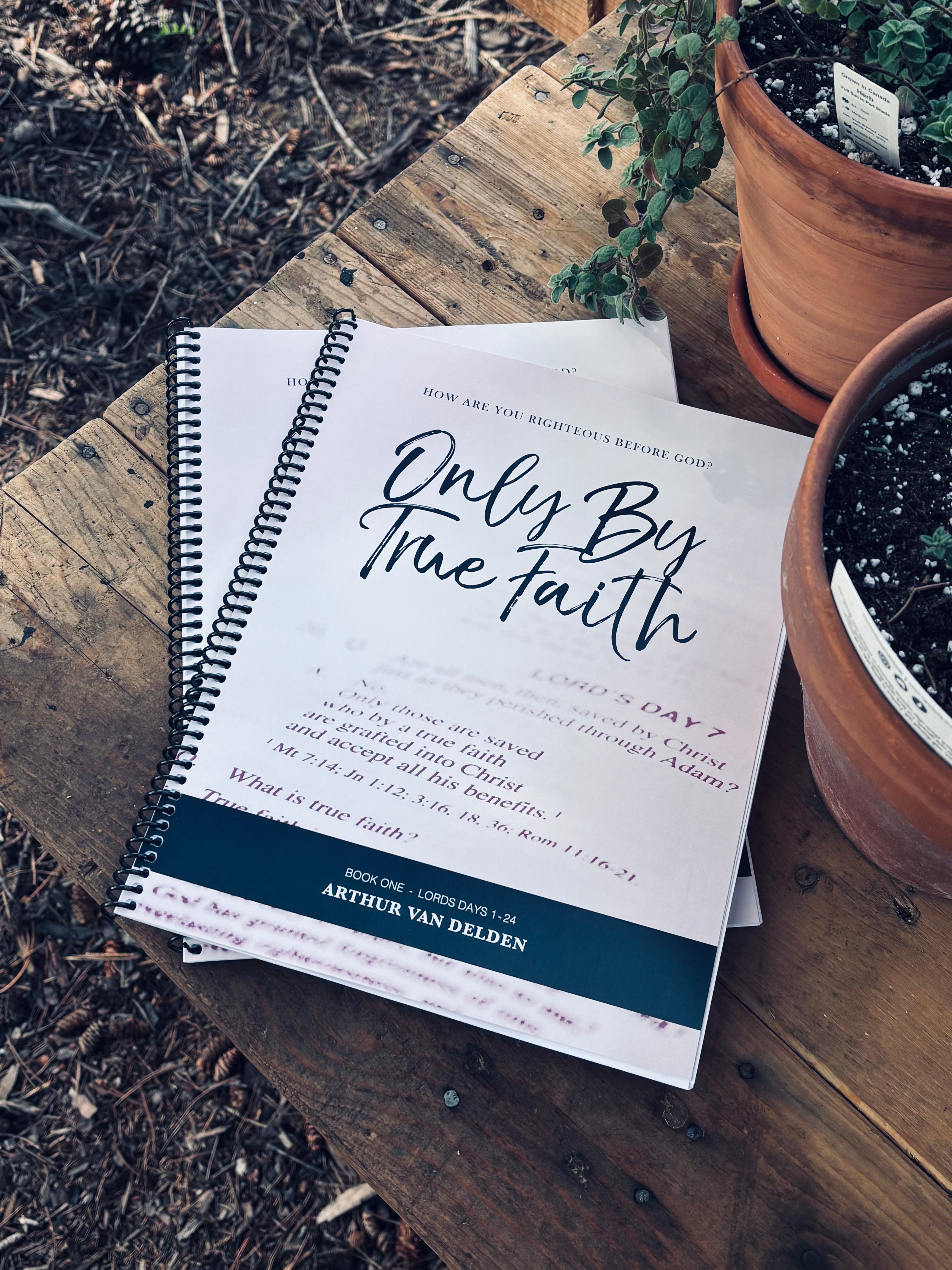 Only by True Faith - Book One LD Days 1-24 (VanDelden)