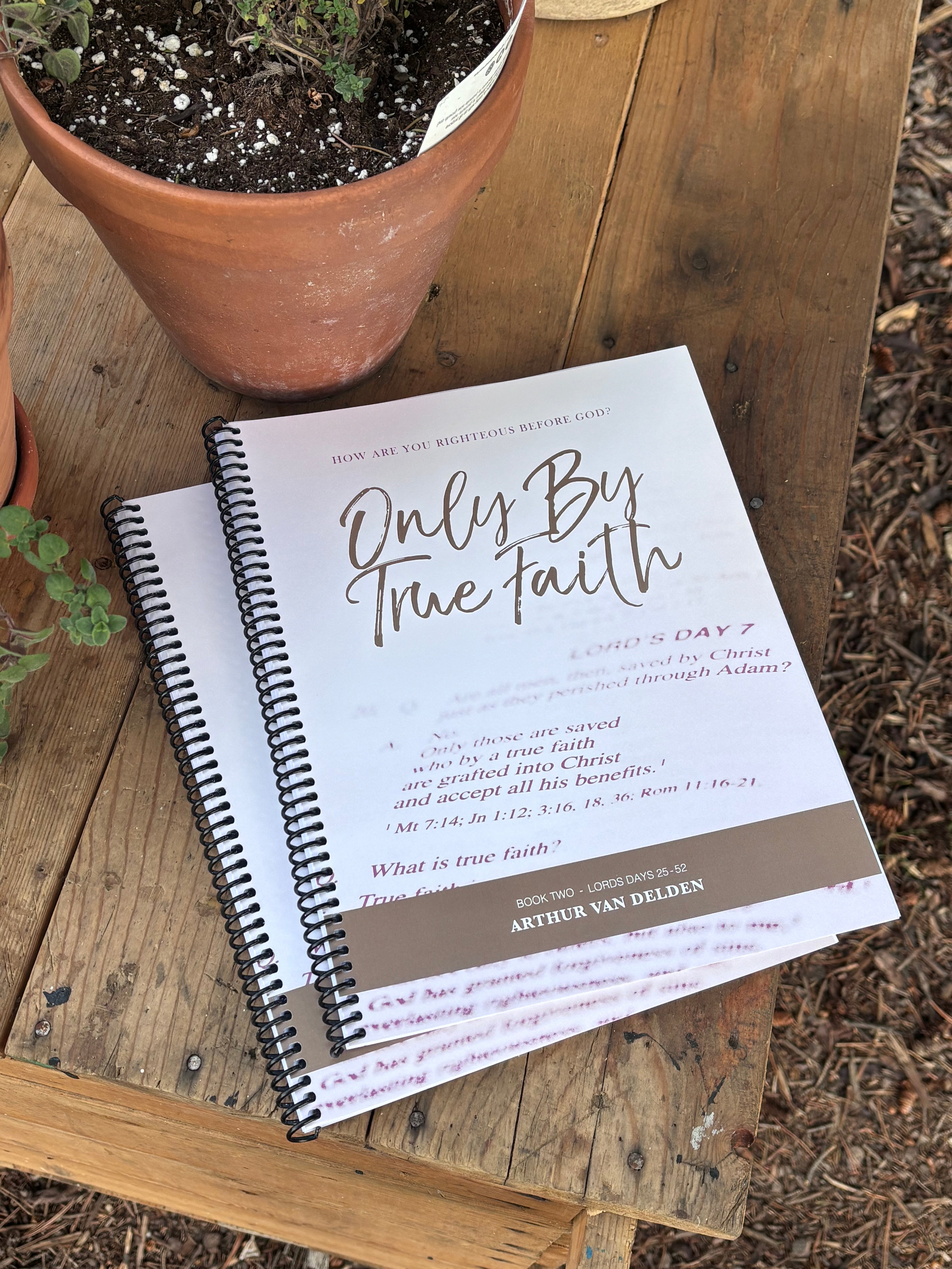 Only By True Faith - Book Two LD Days 25-52 (VanDelden)