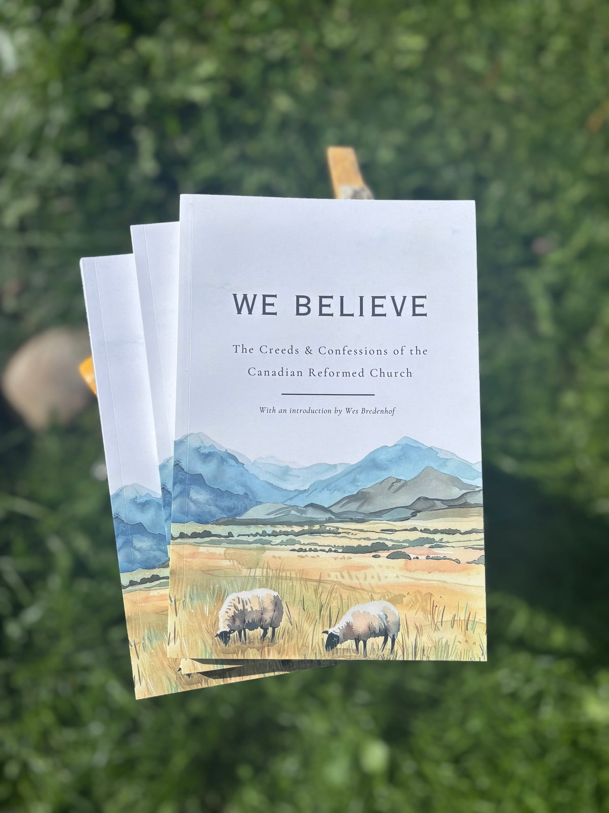 We Believe - The Creeds & Confessions of the Canadian Reformed Church (Bredenhof)