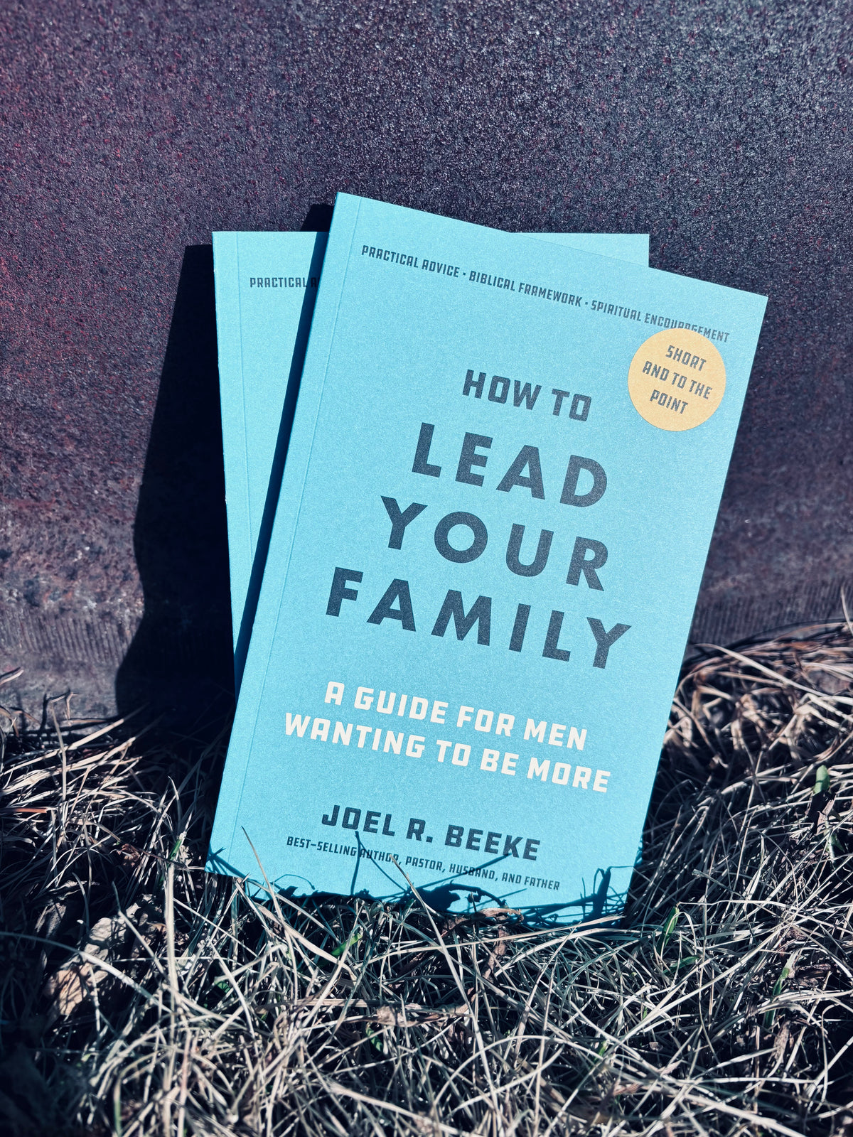 How to Lead Your Family (Beeke)