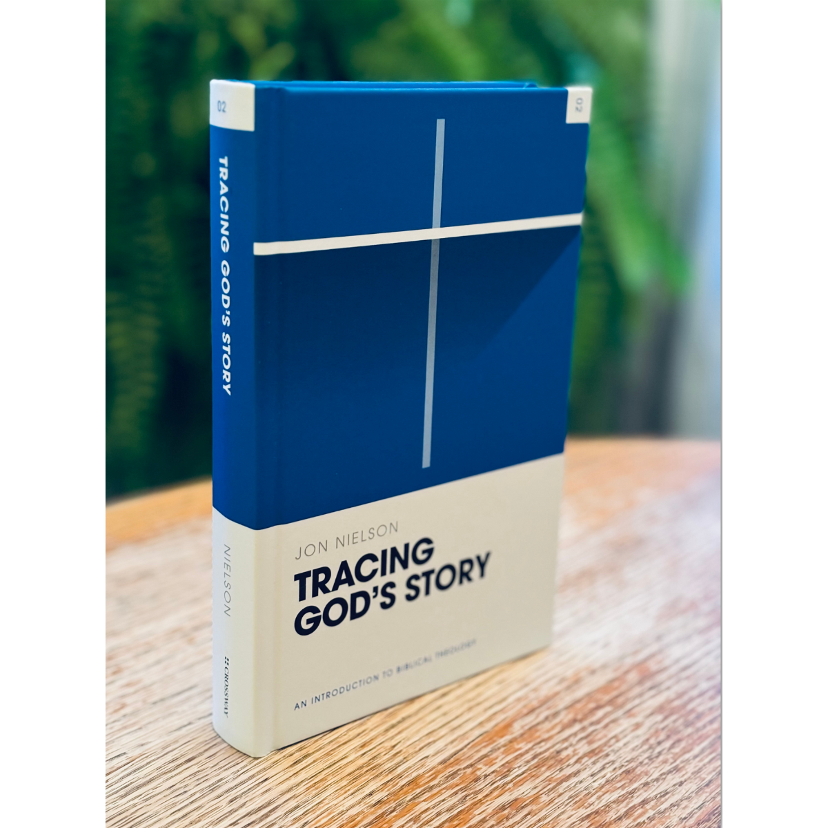 Tracing God's Truth (Theology Basics)  (Nielson) image 0