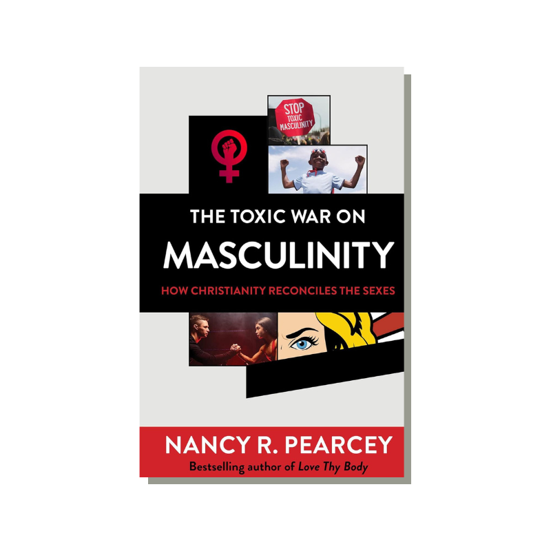 The Toxic War On Masculinity   (Pearcey) image 0
