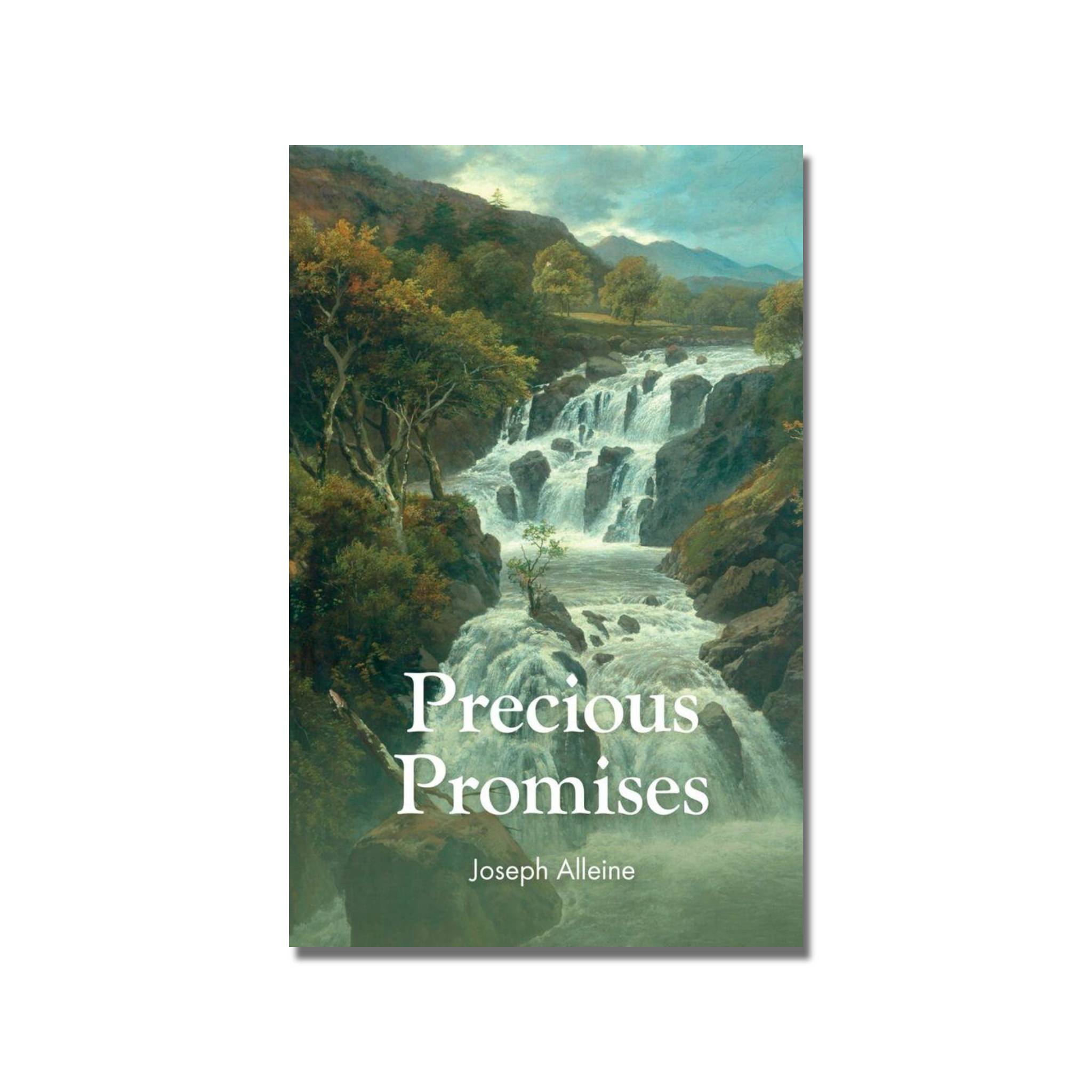 Precious Promises  (Alleine) image 0