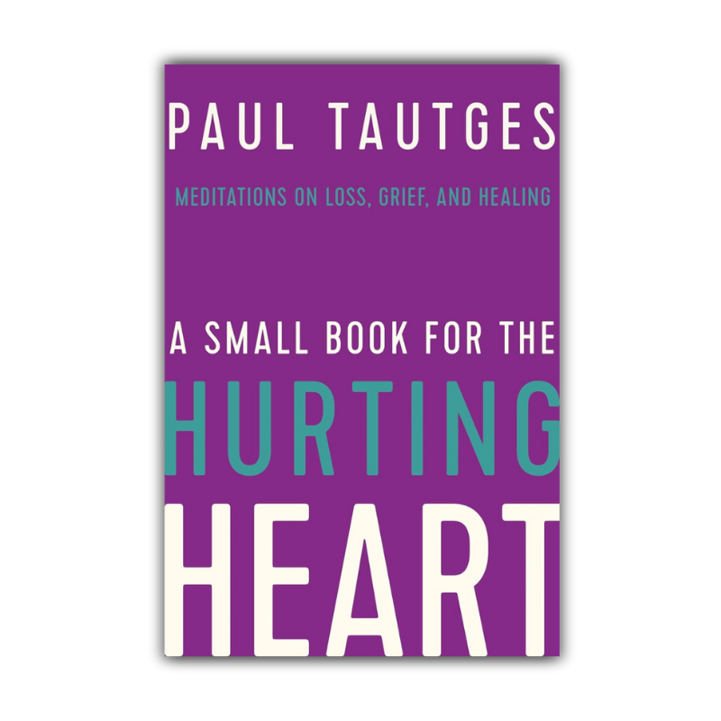 A Small Book for the Hurting Heart (Tautges) image 0