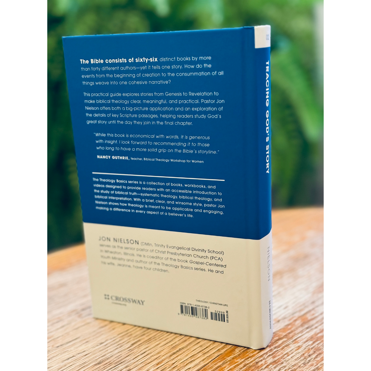 Tracing God's Truth (Theology Basics)  (Nielson) image 1