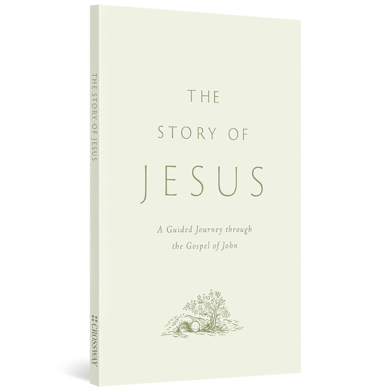 The Story of Jesus: A Guided Journey through the Gospel of John  (Emmert) image 0