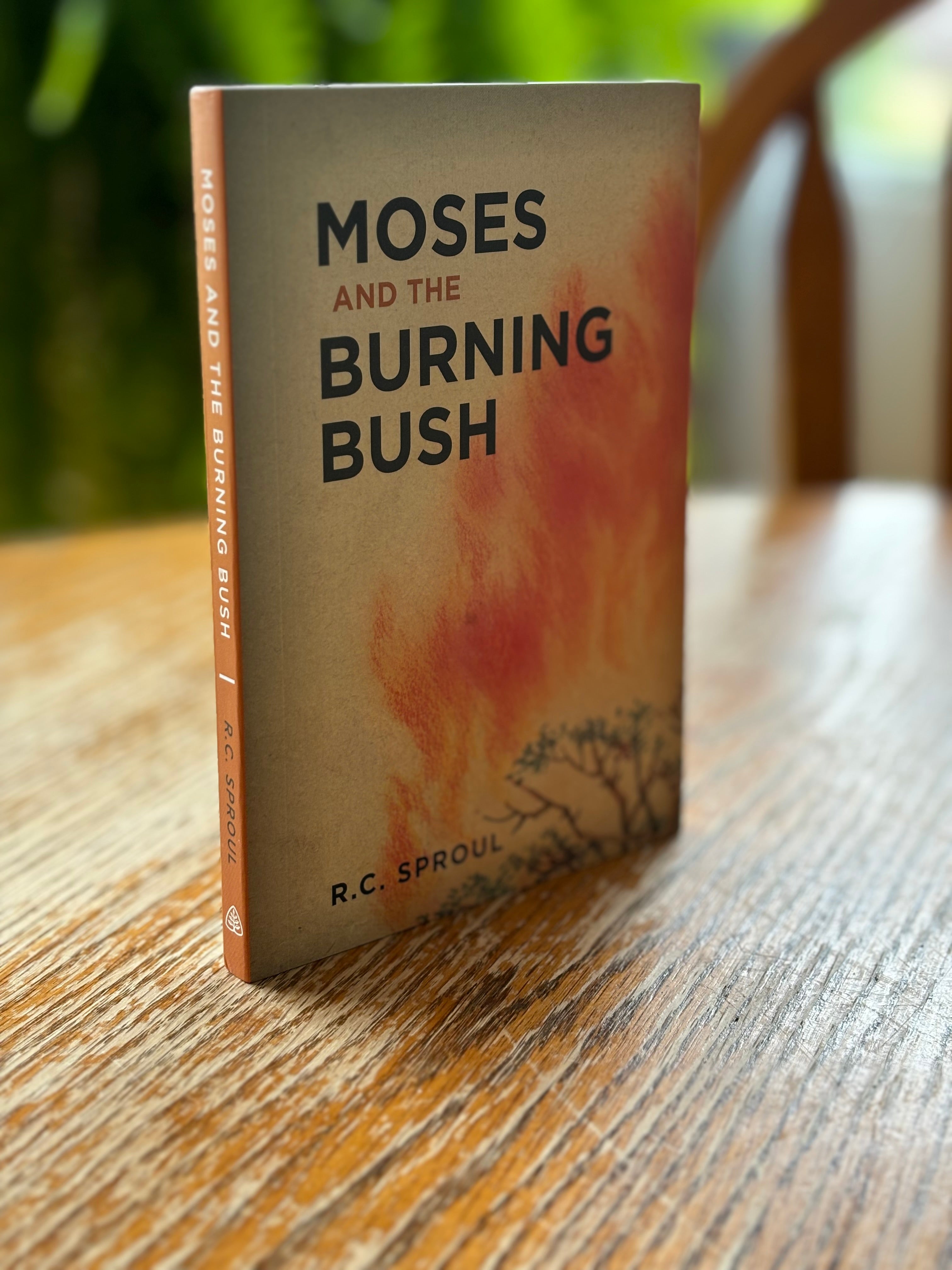 Moses and the Burning Bush  (Sproul) image 0