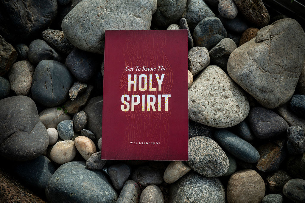 Get To Know The Holy Spirit (Bredenhof) image 3