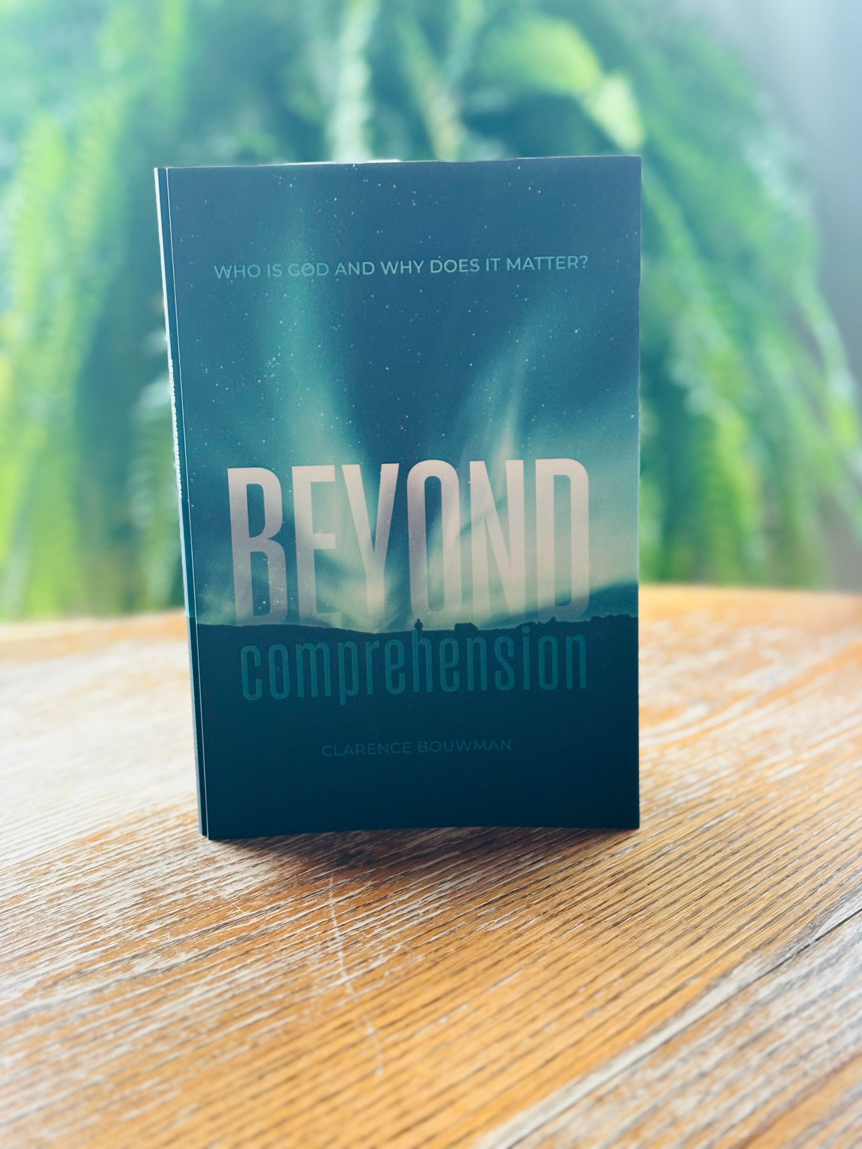Beyond Comprehension  (Bouwman) image 0